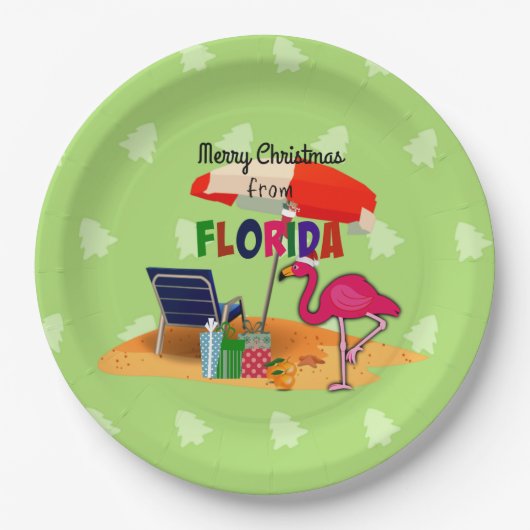 Vrolijk kerstfeest uit Florida, kleurrijk Papieren Bordje (Voorkant)