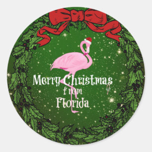 Vrolijk kerstfeest uit Florida, Santa Flamingo Ronde Sticker