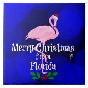 Vrolijk kerstfeest uit Florida, Santa Flamingo. Tegeltje
