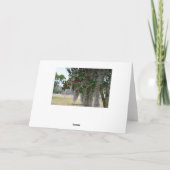 Vrolijk kerstfeest uit Mississippi Feestdagen Kaart (Achterkant)