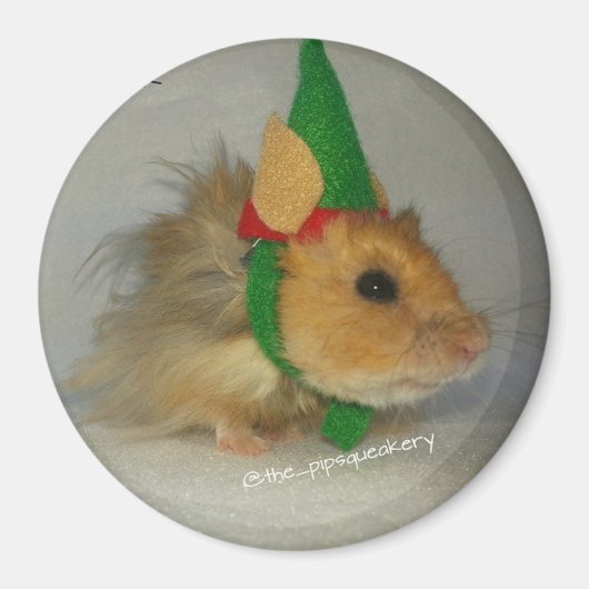 Vrolijk kerstfeest van Chuck de Elf Magneet (Voorkant)