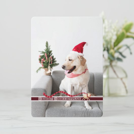 Vrolijk kerstfeest van de hond  feestdagenkaart (Staand voorkant)