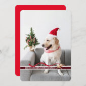 Vrolijk kerstfeest van de hond  feestdagenkaart (Voorkant / Achterkant)