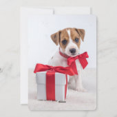 Vrolijk kerstfeest van de hond | Houtskool met fot Feestdagenkaart (Achterkant)