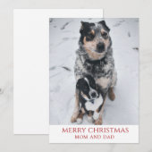 Vrolijk kerstfeest van de honden feestdagenkaart (Voorkant / Achterkant)