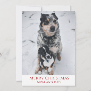 Vrolijk kerstfeest van de honden feestdagenkaart