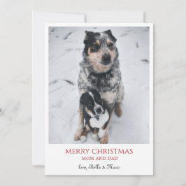 Vrolijk kerstfeest van de honden feestdagenkaart