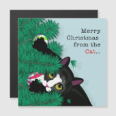 Vrolijk kerstfeest van de kat (Voorkant / Achterkant)