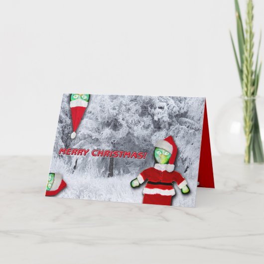 Vrolijk kerstfeest van de LiEnS! Feestdagen Kaart (Voorkant)