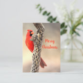 Vrolijk kerstfeest van een noordelijke Cardina Feestdagenkaart (Staand voorkant)