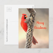 Vrolijk kerstfeest van een noordelijke Cardina Feestdagenkaart (Voorkant / Achterkant)