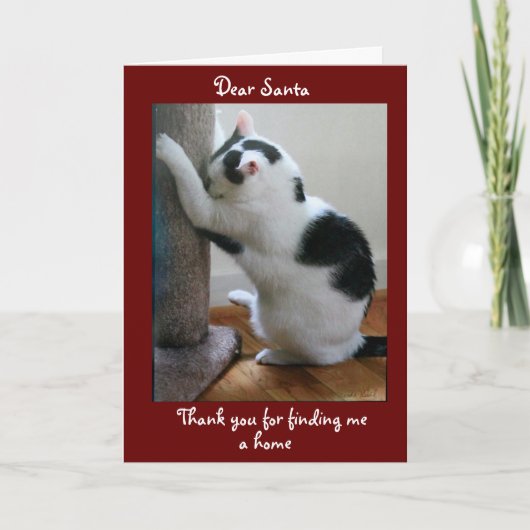 Vrolijk kerstfeest van je geadopteerde kat kaart (Voorkant)