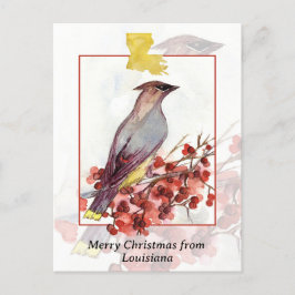 Vrolijk kerstfeest van Louisiana Cedar Waxwing Bir Feestdagenkaart