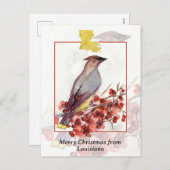 Vrolijk kerstfeest van Louisiana Cedar Waxwing Bir Feestdagenkaart (Voorkant / Achterkant)
