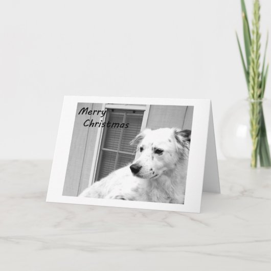 VROLIJK KERSTFEEST VAN ONS HUIS TOT UW HUIS FEESTDAGEN KAART (Voorkant)