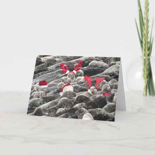 Vrolijk kerstfeest van zeehonden feestdagen kaart (Voorkant)
