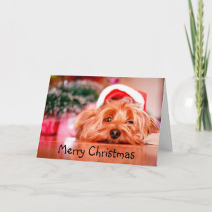 Vrolijk kerstfeest vol Yorkie Dog Fun Kaart