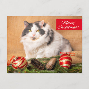 Vrolijk kerstfeest voor iedereen die een Humor met Feestdagenkaart
