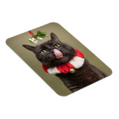 Vrolijk kerstfeest voor iedereen die onder de mist magneet (Rechterzijde)