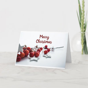 *VROLIJK KERSTFEEST* VOOR IEDEREEN DIT JAAR! VAKAN FEESTDAGEN KAART