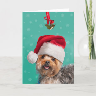 Vrolijk kerstfeest voor iedereen Schattige Yorkie  Feestdagen Kaart