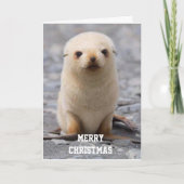 VROLIJK KERSTFEEST "VOOR JOU!" VAN 'IK' FEESTDAGEN KAART (Voorkant)