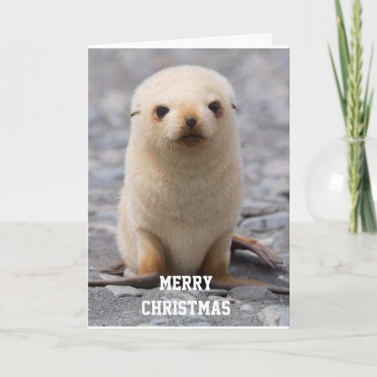 VROLIJK KERSTFEEST "VOOR JOU!" VAN 'IK' FEESTDAGEN KAART (Voorkant)