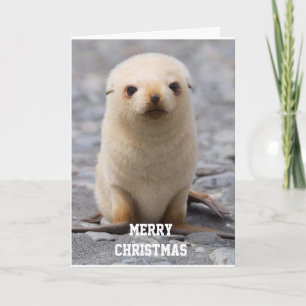 VROLIJK KERSTFEEST "VOOR JOU!" VAN 'IK' FEESTDAGEN KAART
