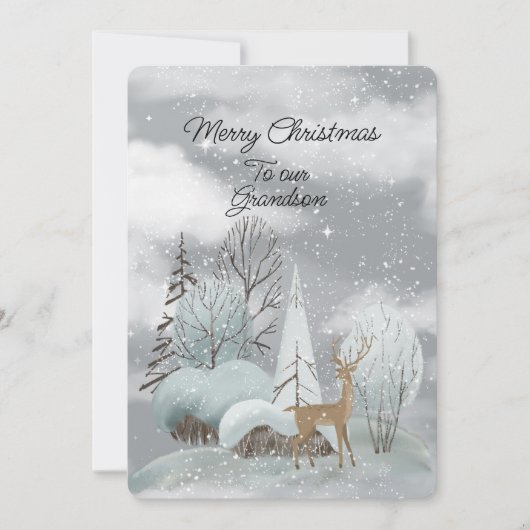 Vrolijk kerstfeest voor onze kleinzoon (Voorkant)