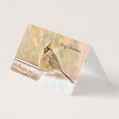 Vrolijk Kerstfeest - Vrouw Kardinaal Kaart (Voorkant)