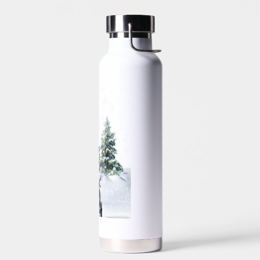 Vrolijk kerstfeest waterfles (Links)