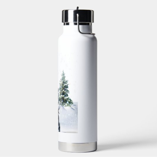 Vrolijk kerstfeest waterfles (Links)