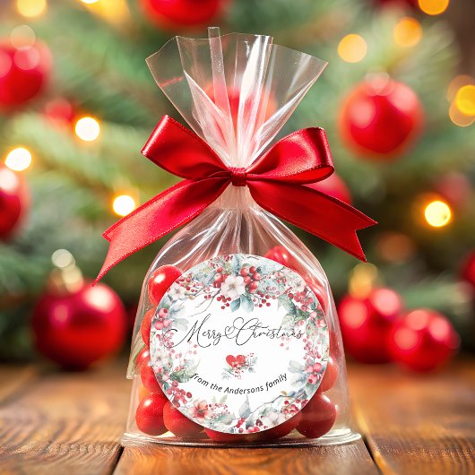 Vrolijk Kerstfeest Winter Rode Bloemen Botanisch Ronde Sticker