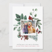 Vrolijk Kerstfeest Winter Rode Kardinaal Foto Feestdagenkaart (Voorkant)