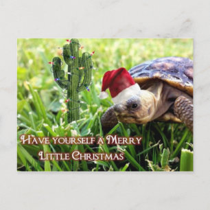 Vrolijk kerstfeest - woestijnschildpad briefkaart