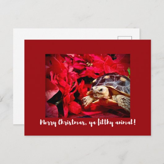 Vrolijk Kerstfeest ya smerig dier baby schildpad X Briefkaart (Voorkant / Achterkant)
