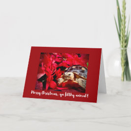 Vrolijk Kerstfeest ya smerig dier baby schildpad X Kaart