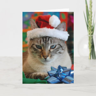 Vrolijk kerstfeest (zelfs als je ondeugend bent) feestdagen kaart