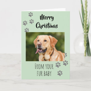 Vrolijk kerstfoto Dog Cat Pet Fur Baby Kaart