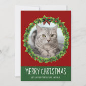 Vrolijk kerstgeschut Cute Custom Cat Foto Red Feestdagenkaart (Voorkant)