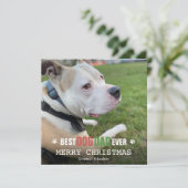 Vrolijk kersthond vader van de hond uit de hondenf feestdagenkaart (Staand voorkant)