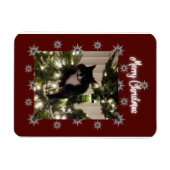 Vrolijk kerstkaartje met Tuxedo-kat op mijn boom. Magneet (Horizontaal)