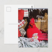 Vrolijk kerstkardinaal briefkaart (Voorkant / Achterkant)