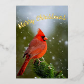 Vrolijk kerstkardinaal op Evergreen in Snow Folie Feestdagenkaart (Voorkant)