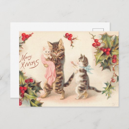 Vrolijk kerstkat en Kittens Holly Briefkaart (Voorkant / Achterkant)