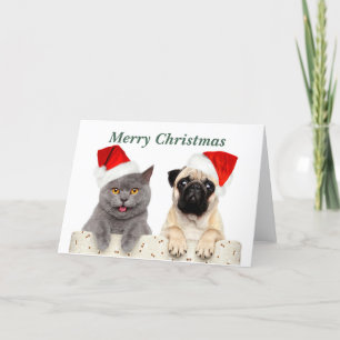 Vrolijk kerstkat en pug feestdagen kaart