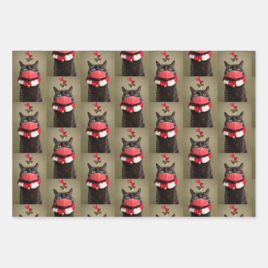 Vrolijk kerstkat in gezichtsmasker onder mistletoe inpakpapier vel (Voorkant 3)