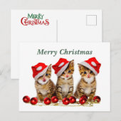 Vrolijk kerstkatten briefkaart (Voorkant / Achterkant)