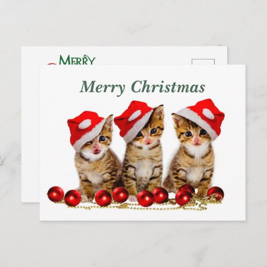 Vrolijk kerstkatten briefkaart (Voorkant / Achterkant)