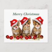 Vrolijk kerstkatten briefkaart (Voorkant)